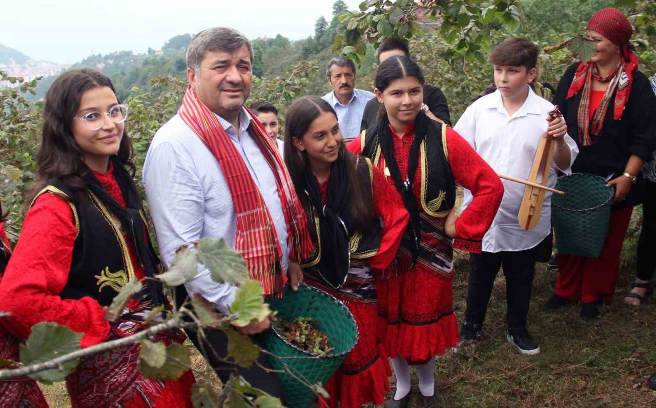 Giresun’da kemençe ve horon eşliğinde fındık hasadı yapıldı