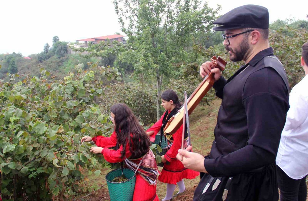 Giresun’da kemençe ve horon eşliğinde fındık hasadı yapıldı