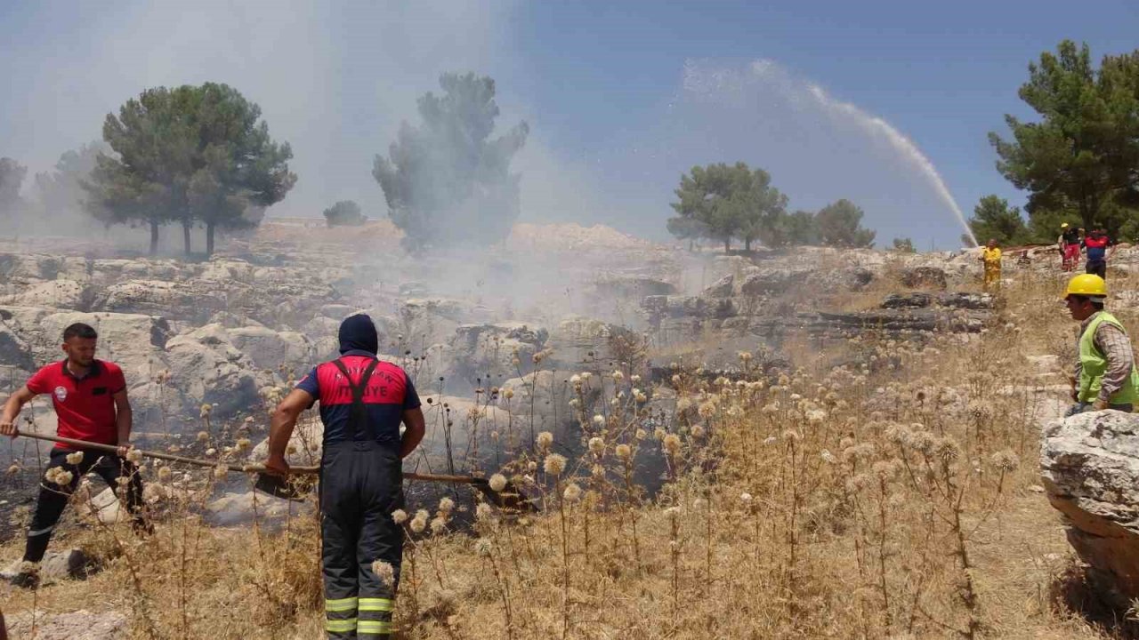 Alev alev yanan ağacı tişörtüyle söndürdü
