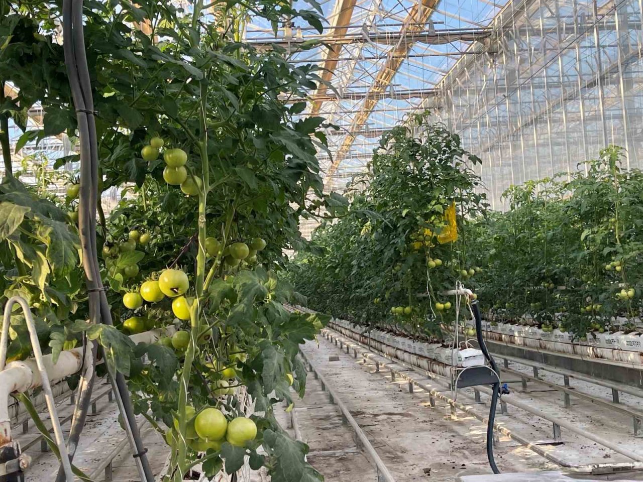 Jeotermal Enerji Derneği Yönetim Kurulu Başkanı Kındap: “Anadolu bir jeotermal cennetidir”