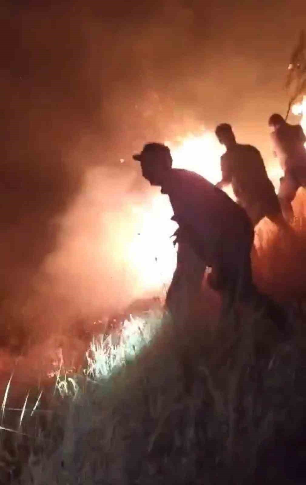 Karacadağ Bal Ormanı’nda çıkan yangın kontrol altına alındı