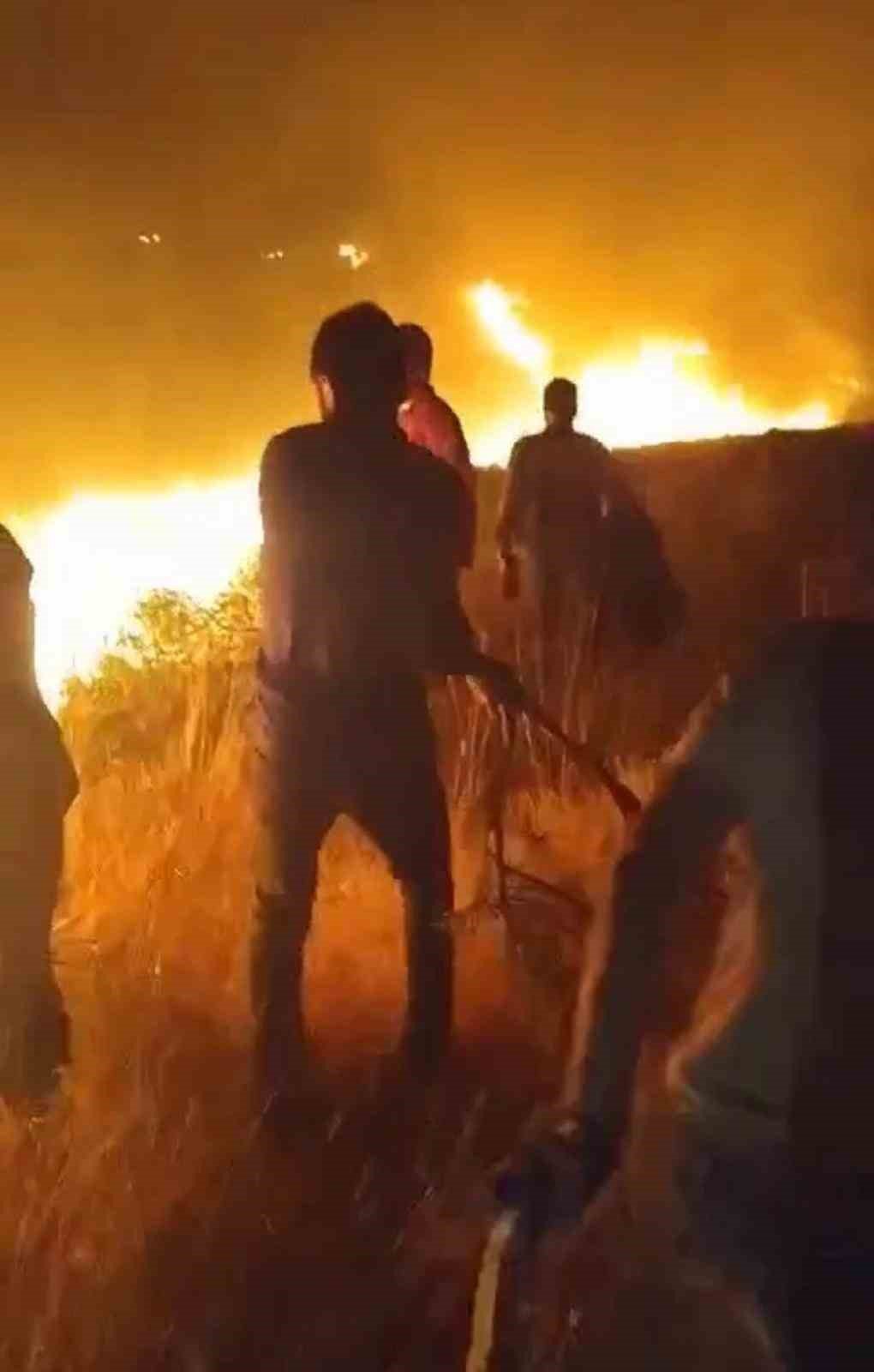 Karacadağ Bal Ormanı’nda çıkan yangın kontrol altına alındı