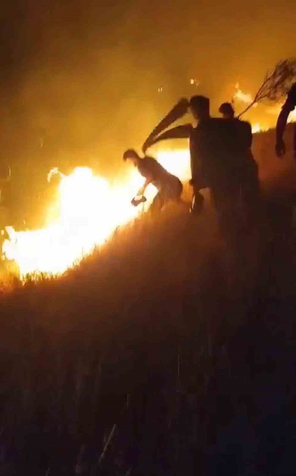 Karacadağ Bal Ormanı’nda çıkan yangın kontrol altına alındı