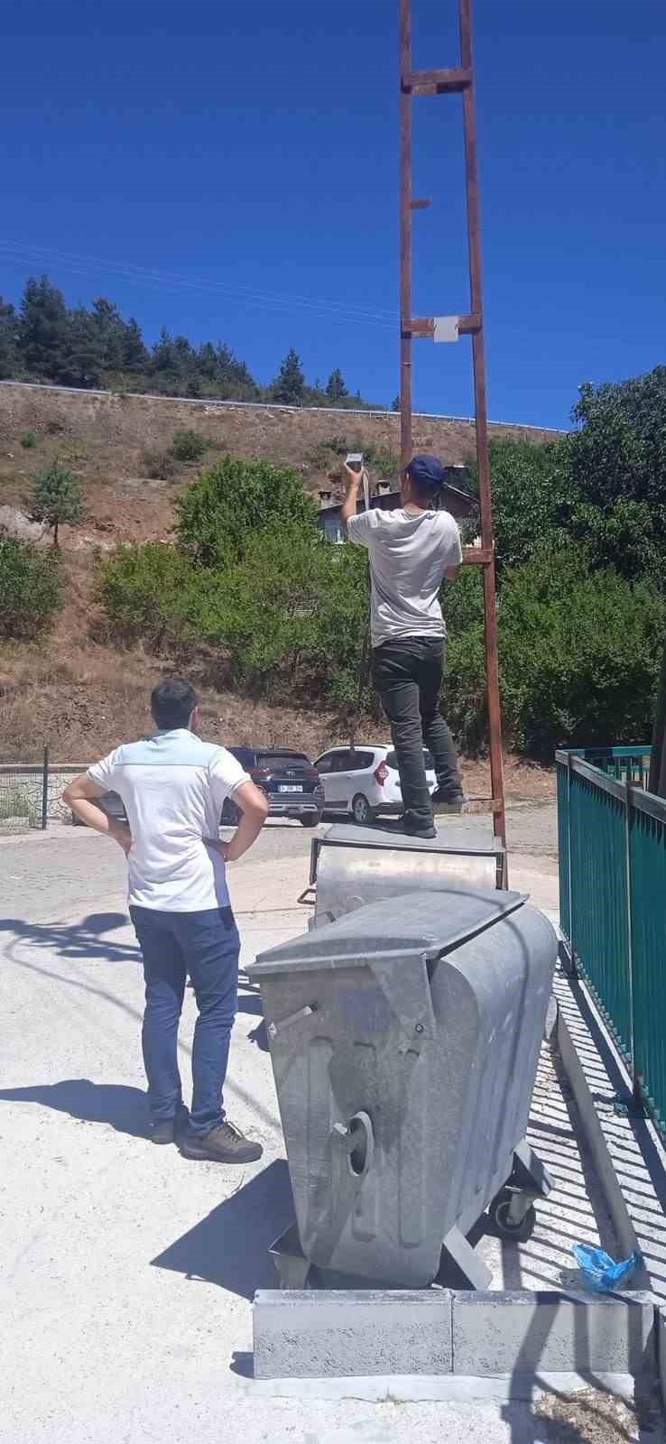 Kastamonu’da ilçe merkezine inen ayılar kamerayla izlenecek