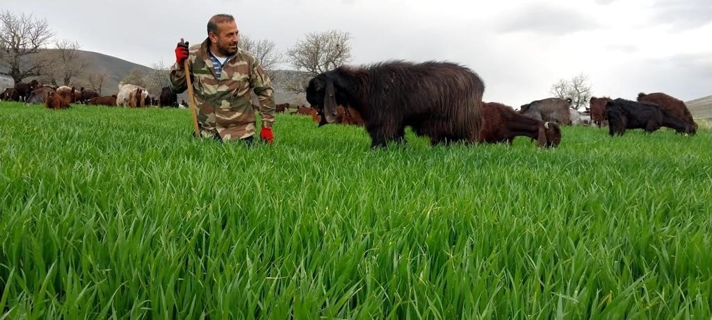 Bir çift keçi ile başladı, çiftlik kurdu