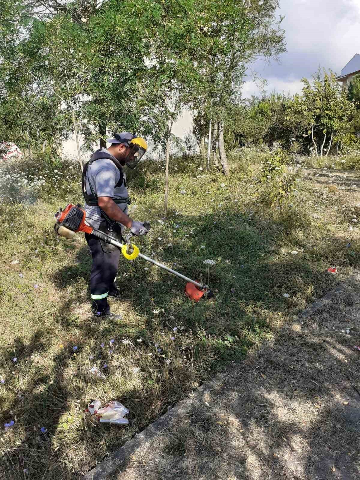 Körfez’de ot temizliği