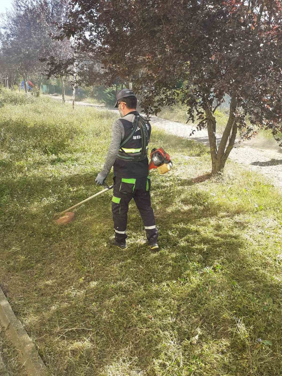 Körfez’de ot temizliği