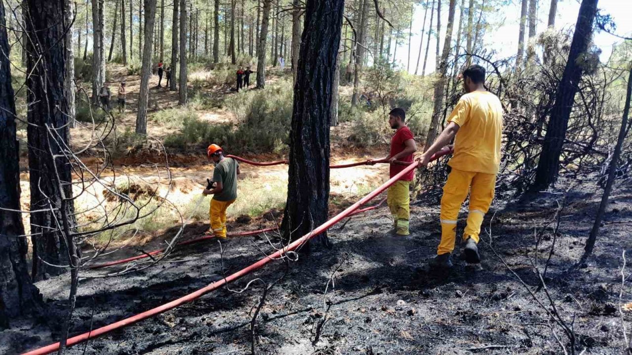 Muğla’daki orman yangını kontrol altına alındı