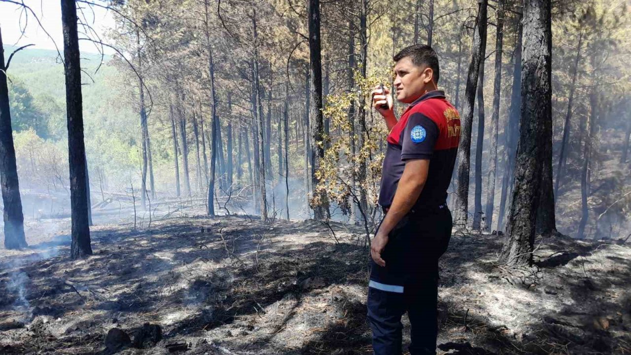 Muğla’daki orman yangını kontrol altına alındı