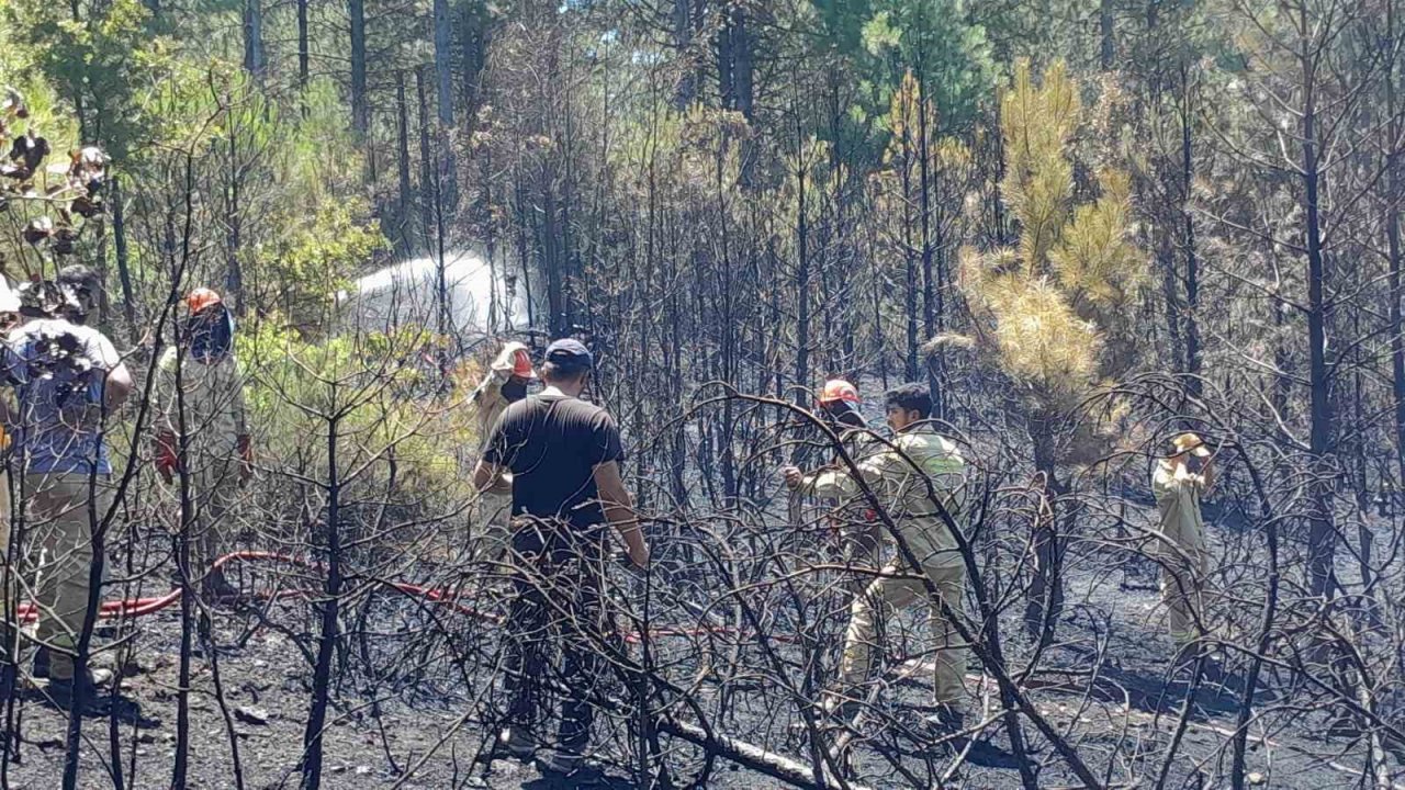 Muğla’daki orman yangını kontrol altına alındı