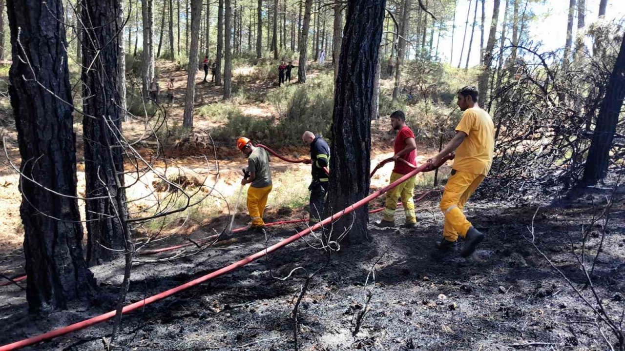 Muğla’daki orman yangını kontrol altına alındı