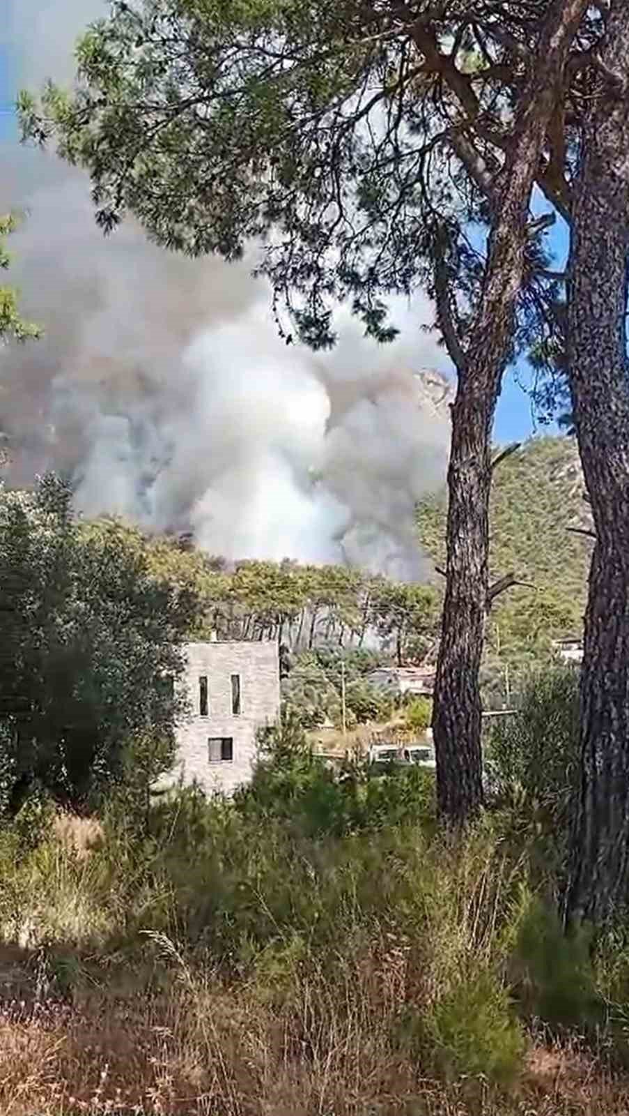 Milas’ta orman yangını