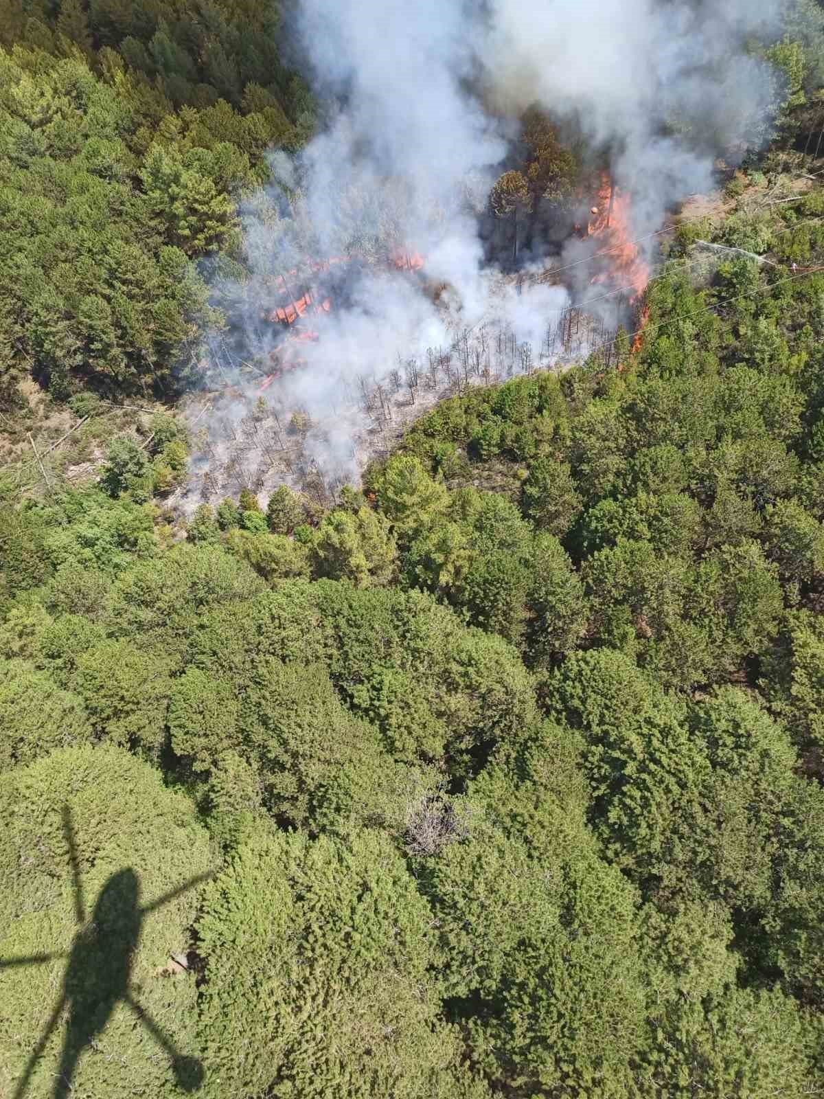 Muğla’da orman yangını