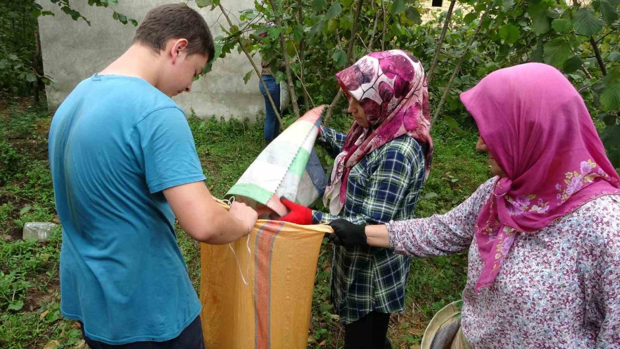 Üreticilerden ’fındık fiyatı’ değerlendirmesi