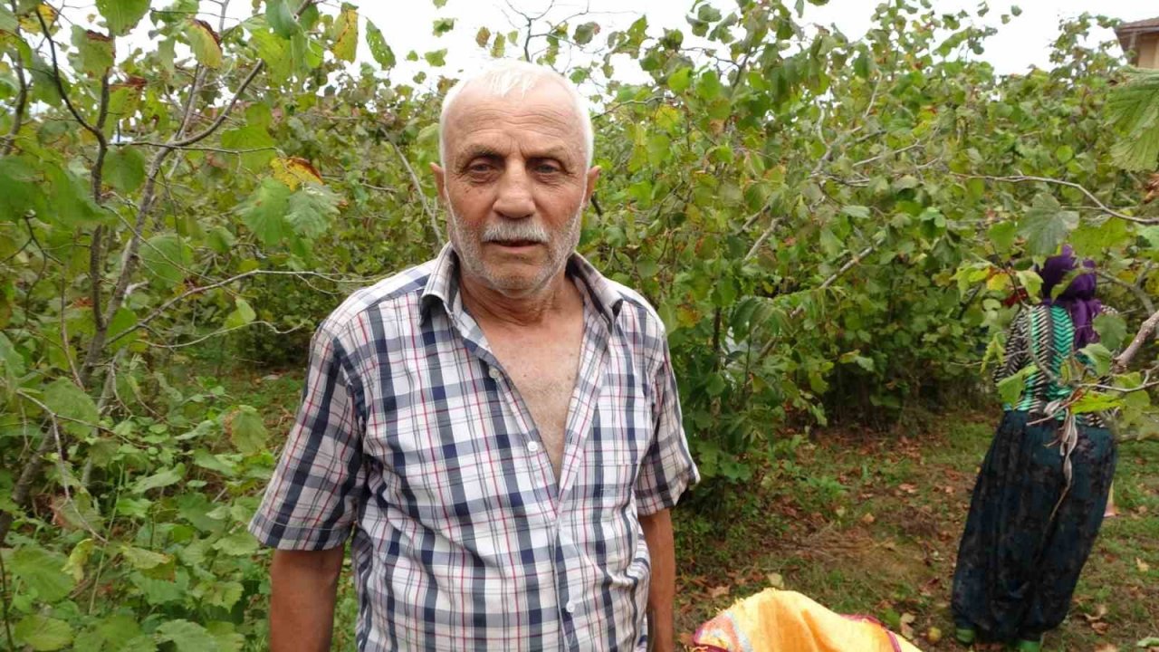 Üreticilerden ’fındık fiyatı’ değerlendirmesi