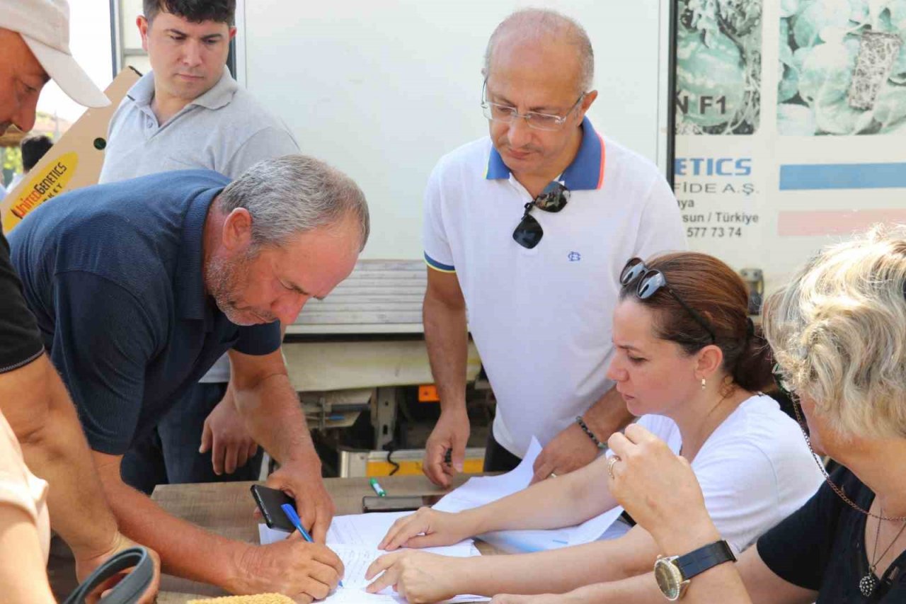 İhracata uygun sebze üretimi için 240 bin fide dağıtıldı