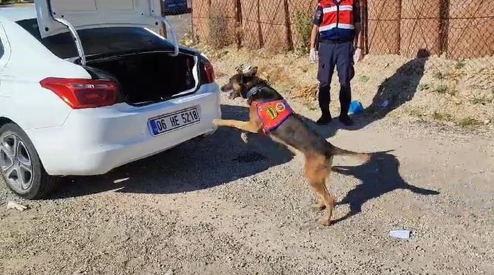 ’Raket’ tepki verdi, 7 kilo 428 gram esrar ele geçirildi