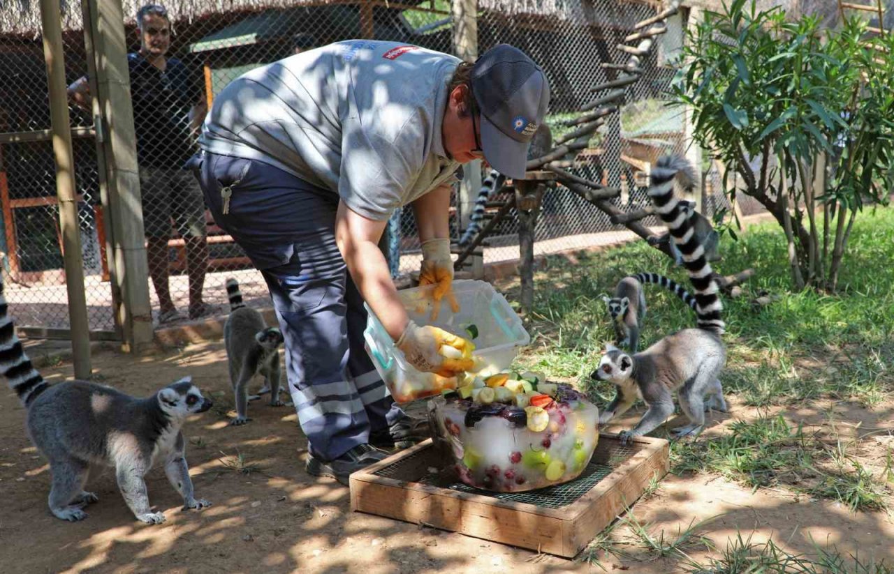 Sıcaktan bunalan hayvanlara buzlu meyve servisi