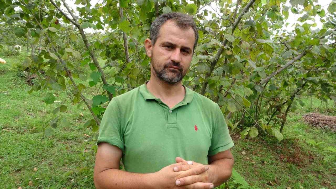 Üreticilerden ’fındık fiyatı’ değerlendirmesi