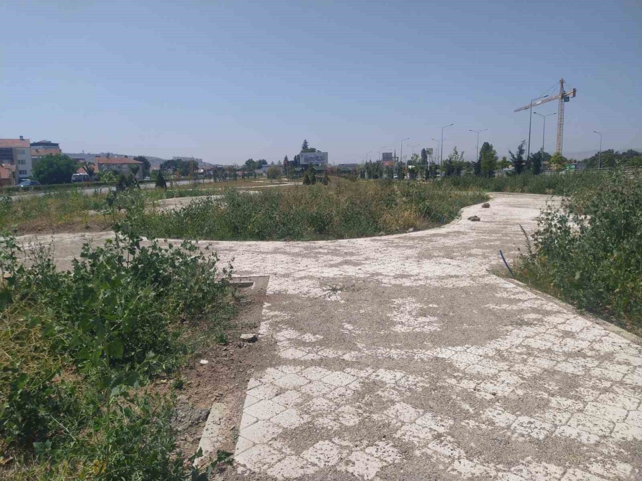 Bu parkın yapımı neden yarım bırakıldı?