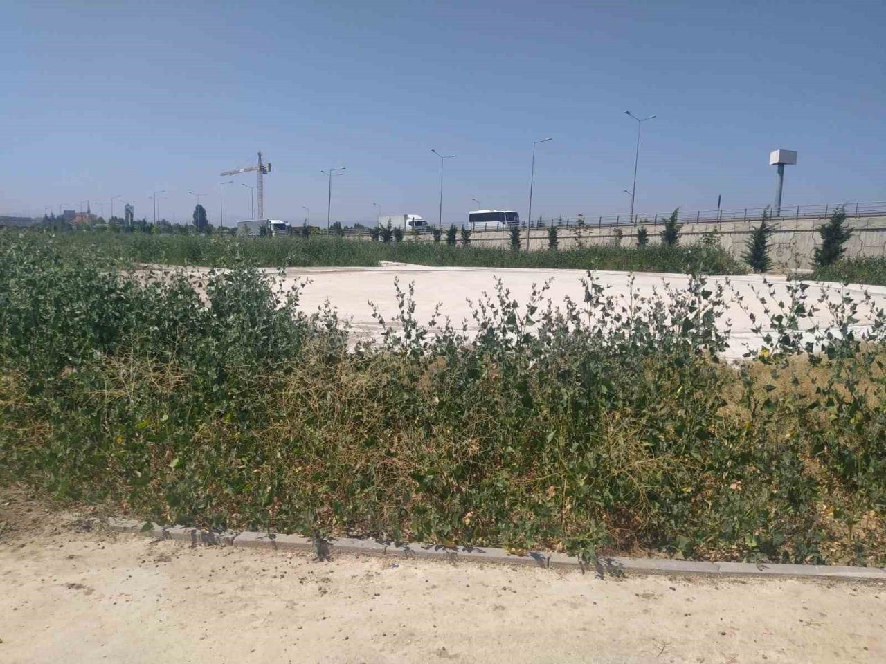 Bu parkın yapımı neden yarım bırakıldı?