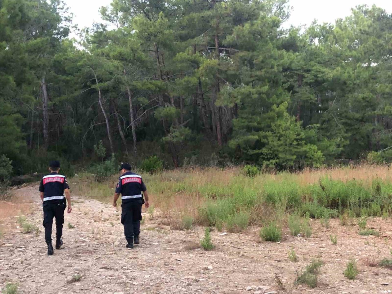 Antalya’da ormanlık alanlar gyrocopter ile havadan denetlendi