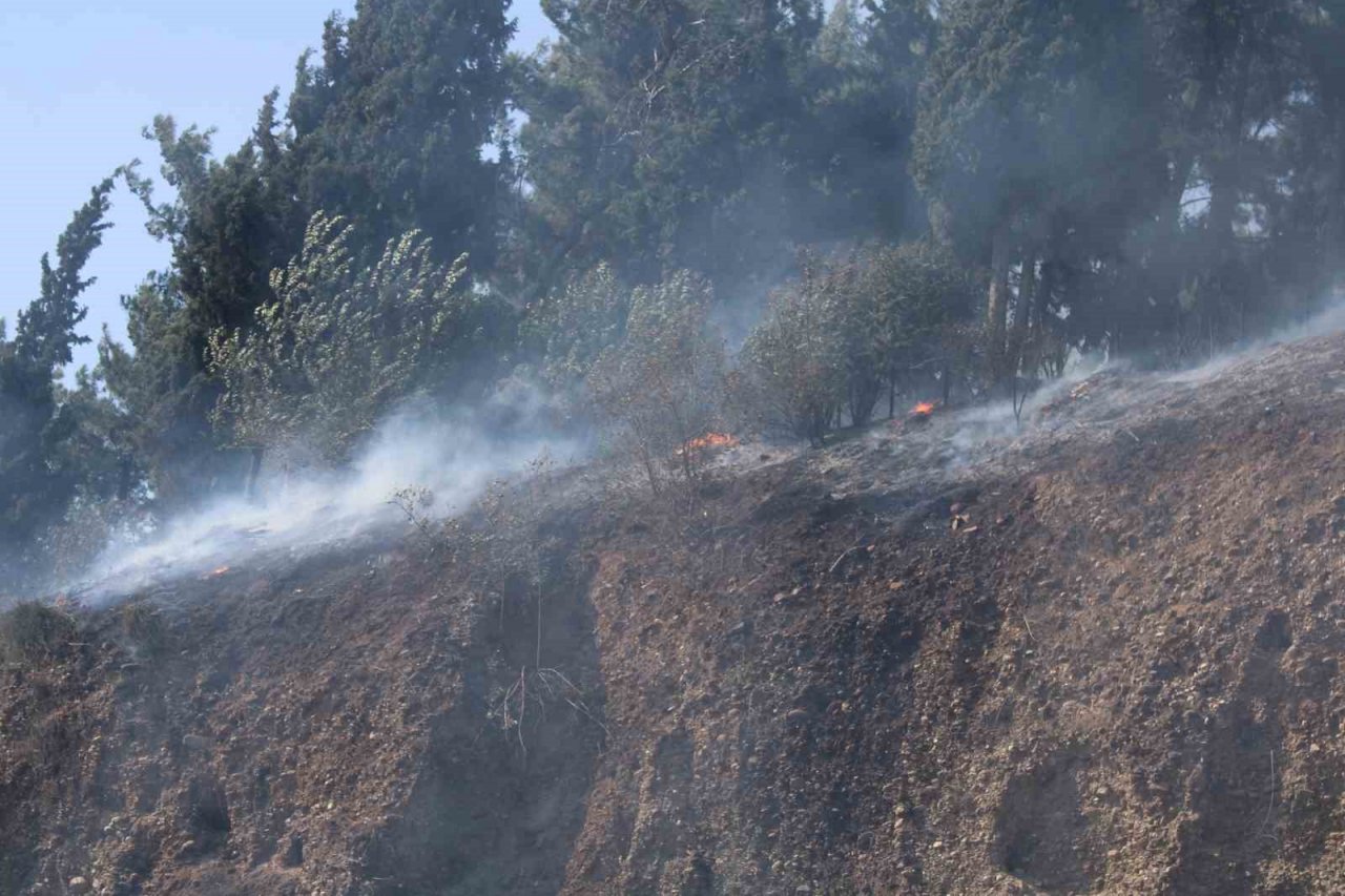 Aytepe mesire alanındaki yangın büyümeden söndürüldü
