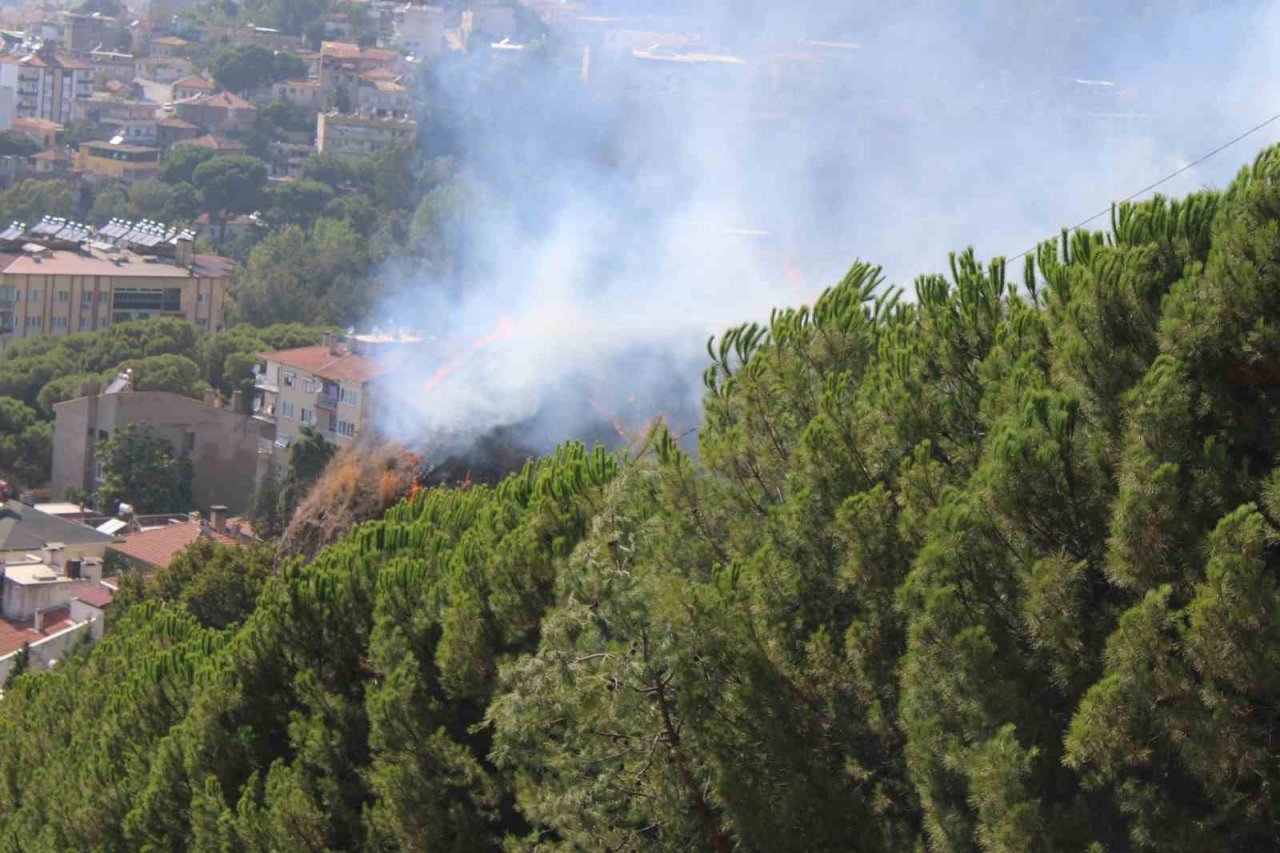 Aytepe mesire alanındaki yangın büyümeden söndürüldü
