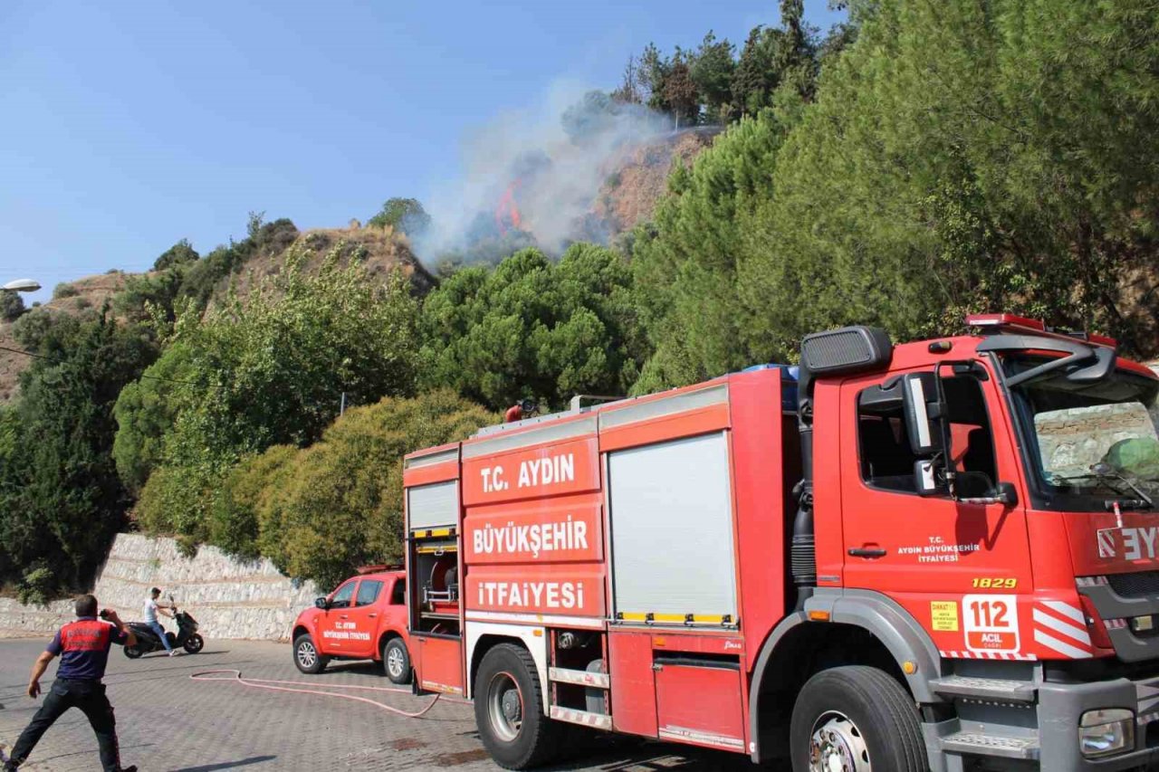 Aytepe mesire alanında yangın
