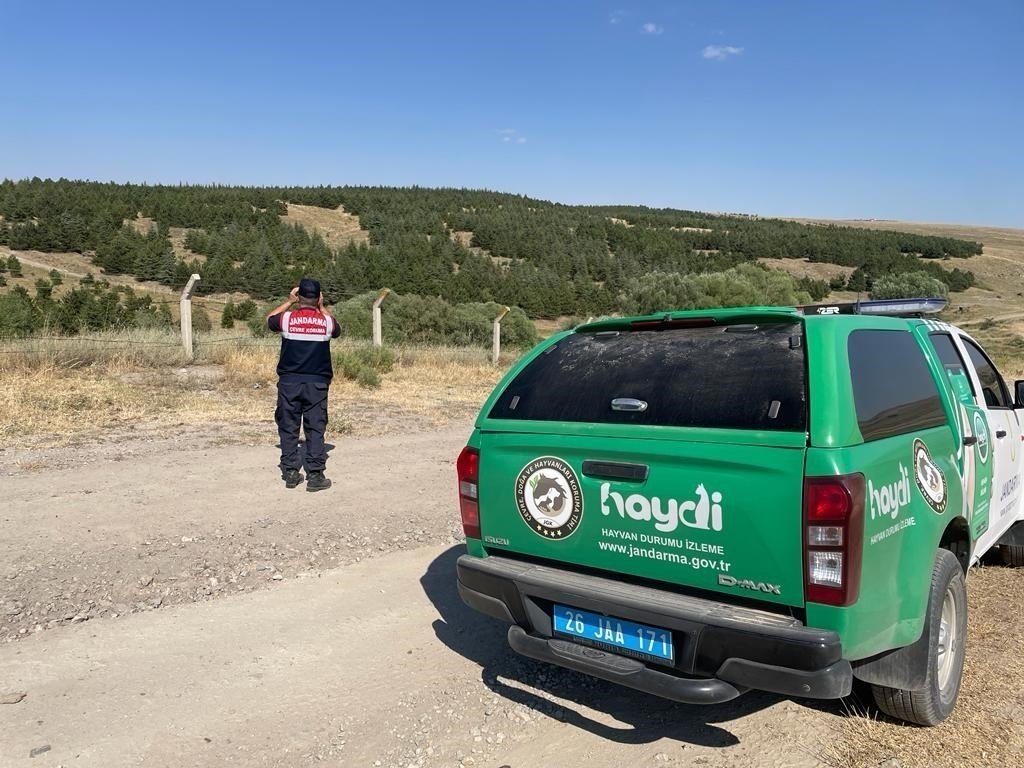 Girilmesi yasak ormanlık alanlara girenlere toplamda 40 bin TL ceza uygulandı