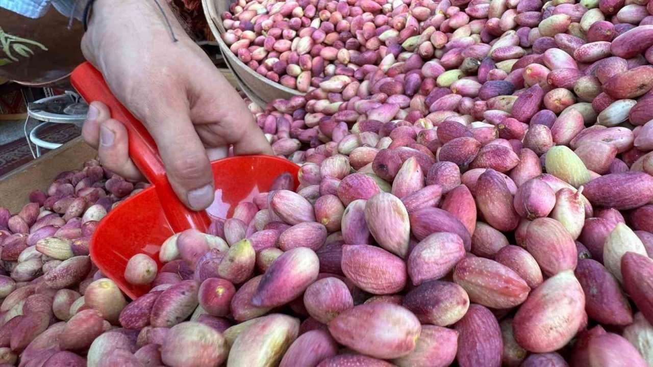 Yeşil altın tezgaha indi