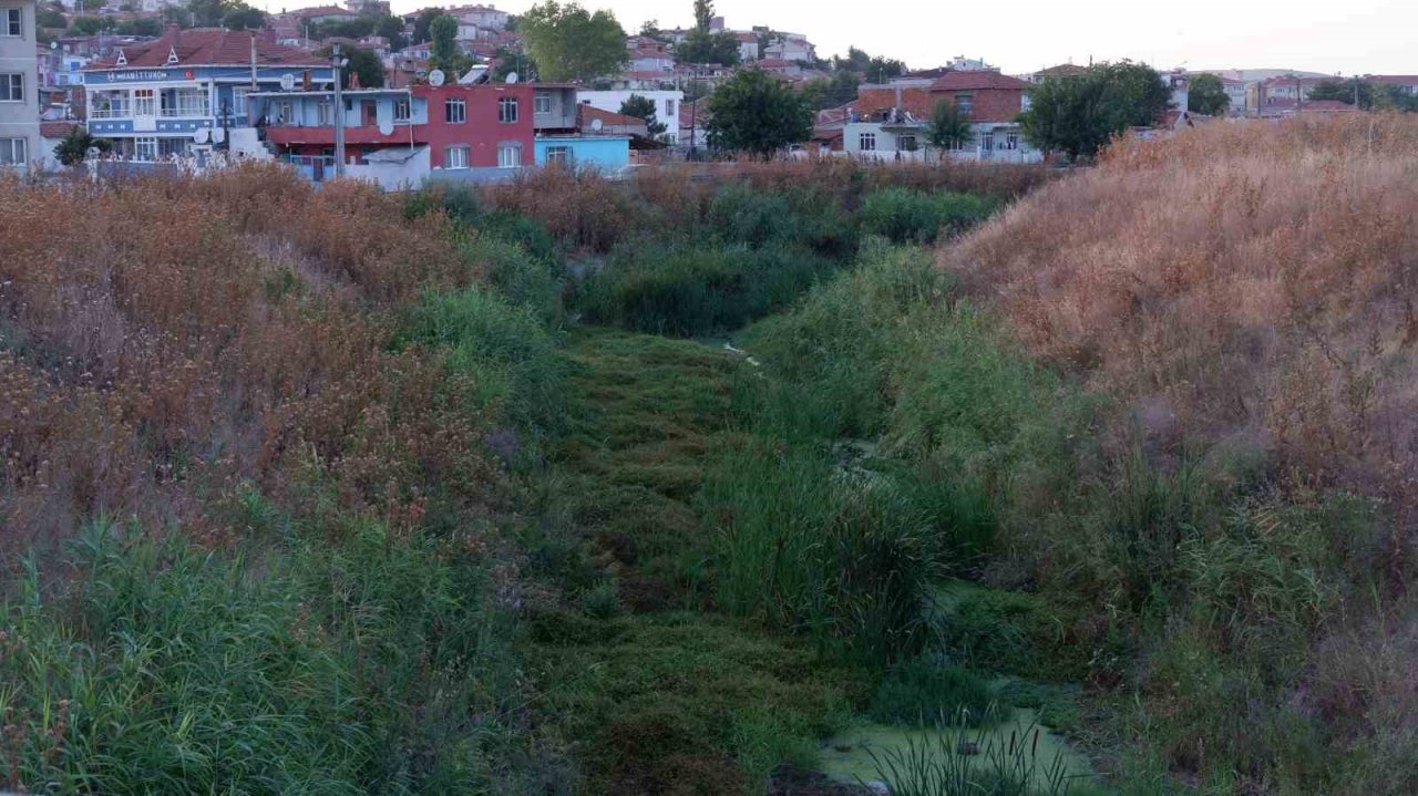 Geçmişte balık tutulan dere şimdi çöpler ve yosunlarla kaplı balçığa dönüştü