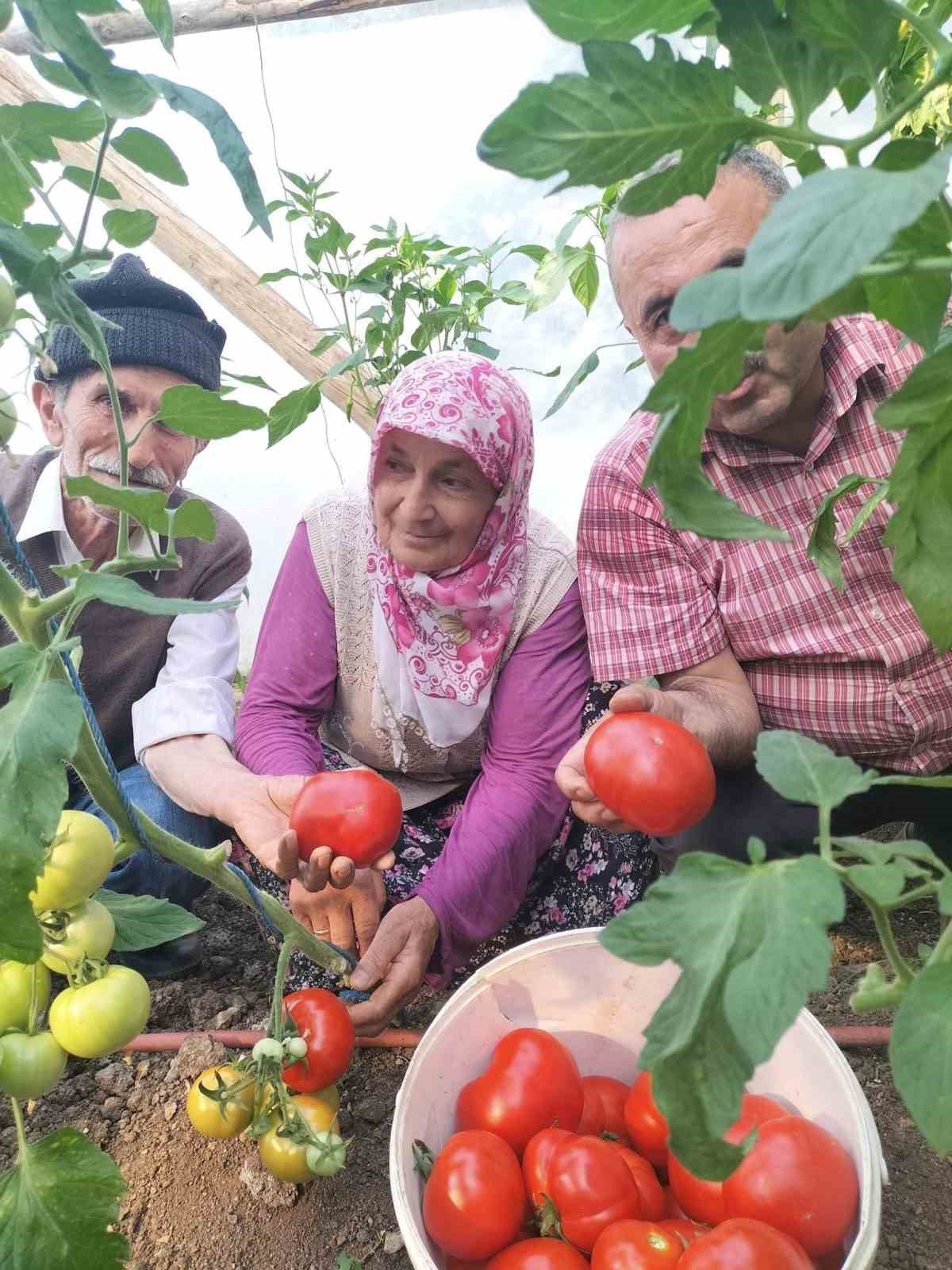 Giresun’da ’Önce Üretim Projesi’ ilk meyvelerini verdi
