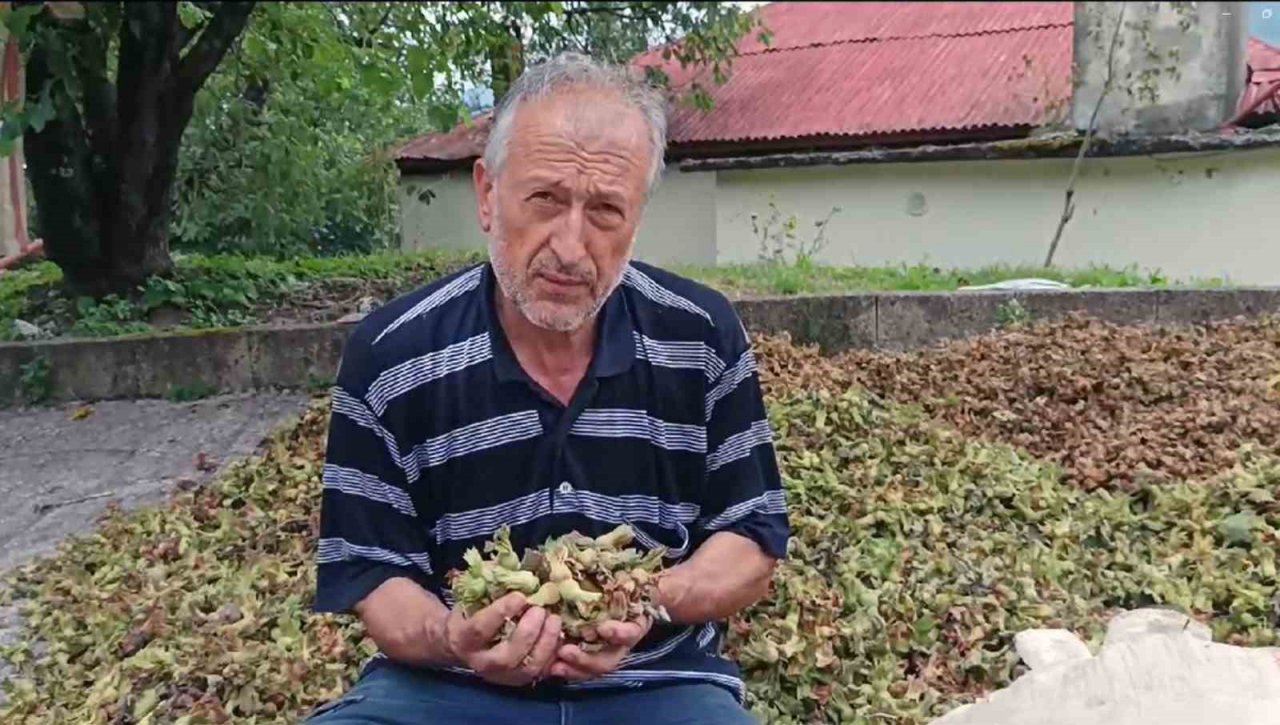 Giresunlu fındık üreticilerinin endişesi serbest piyasada oluşacak fındık fiyatı
