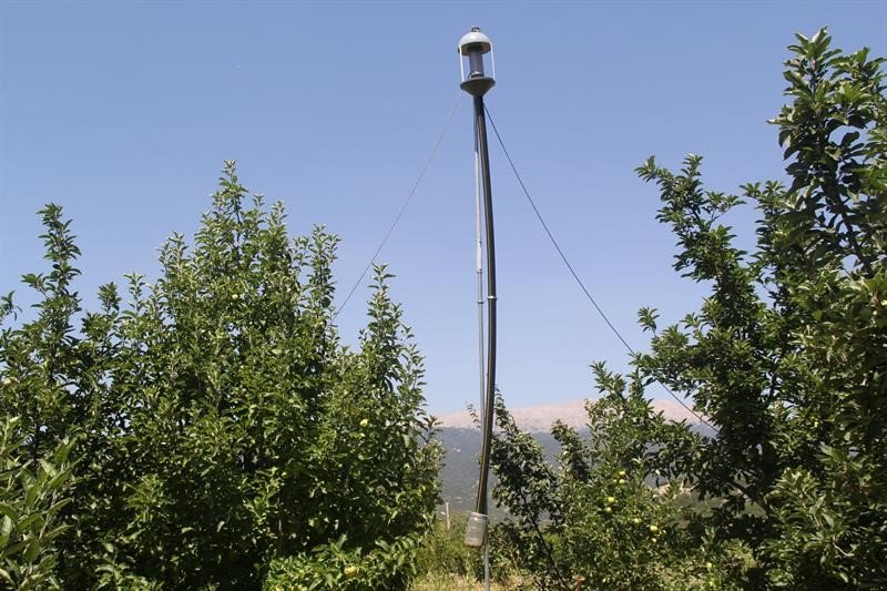 Işıklı tuzaklarla 893 adet haziran böceği ergini yakalandı