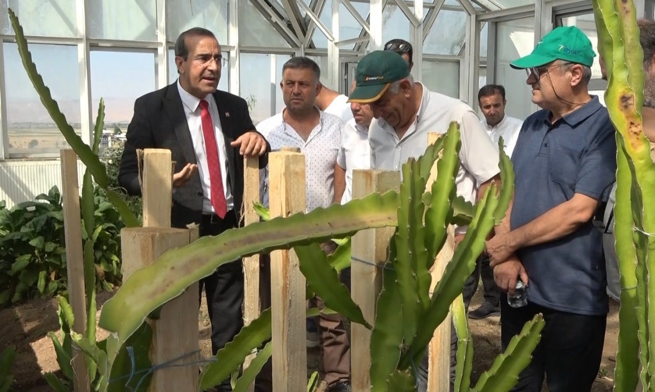 Muş’ta tıbbi ve aromatik bitkiler tanıtıldı