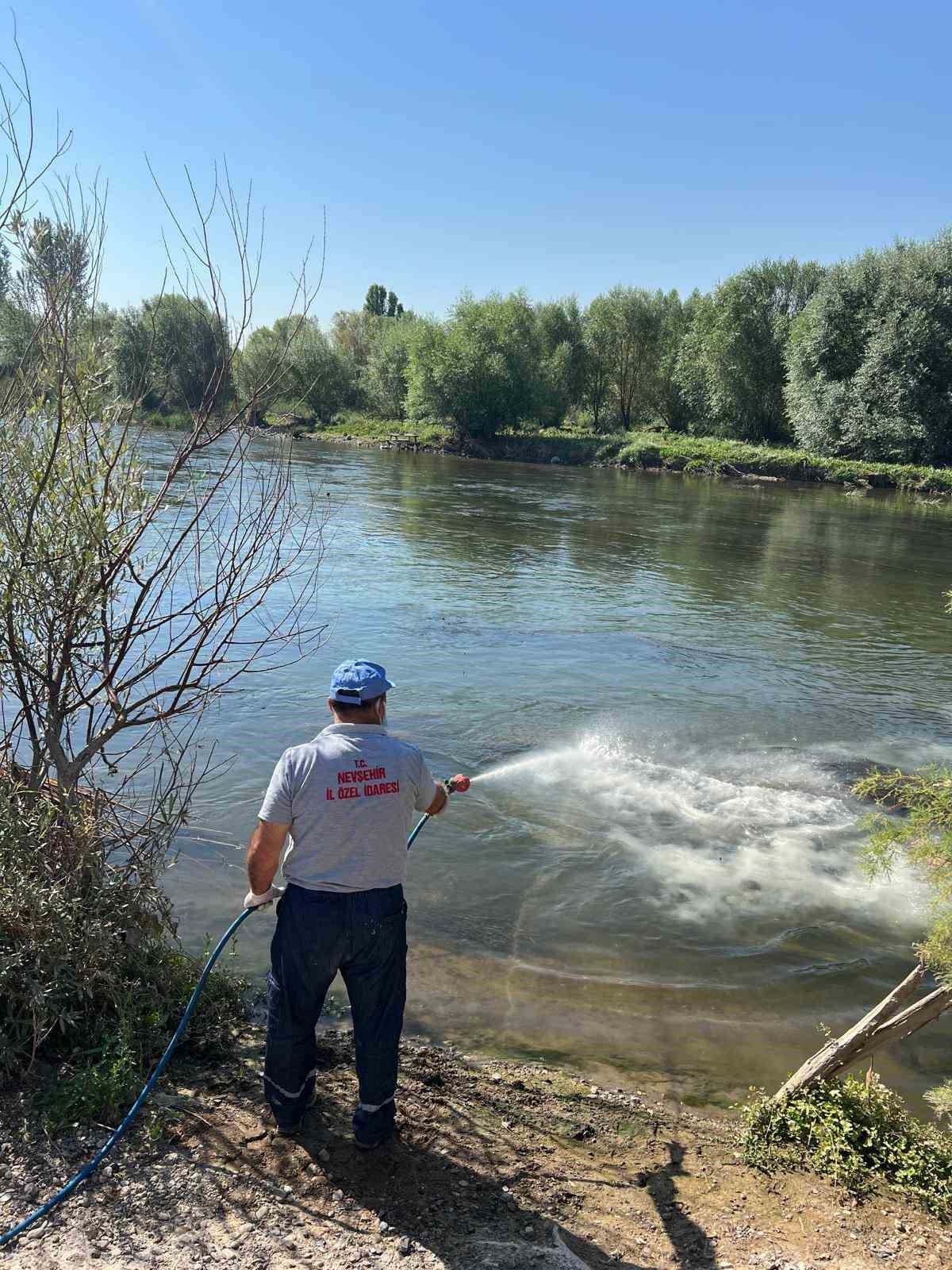 Kızılırmak’ta üvez sineği ile etkin mücadele devam ediyor