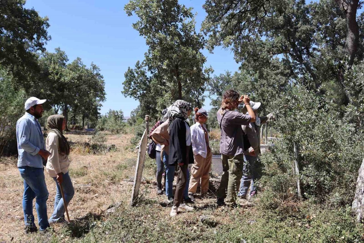 43 mezarlıkta Osmanlı dönemine ait mezar taşları incelendi