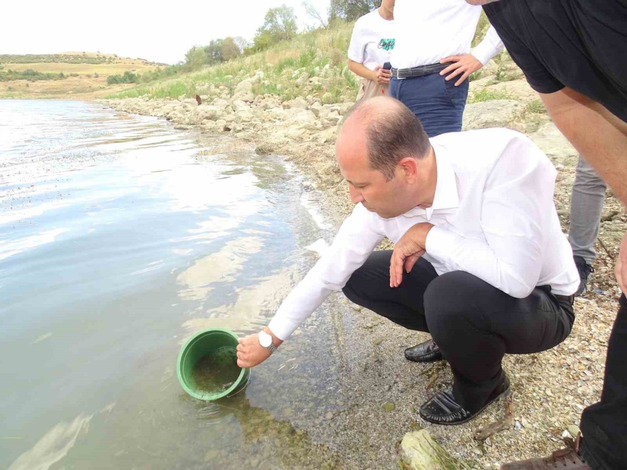 Tekirdağ’da göletlere yarım milyon sazan salındı