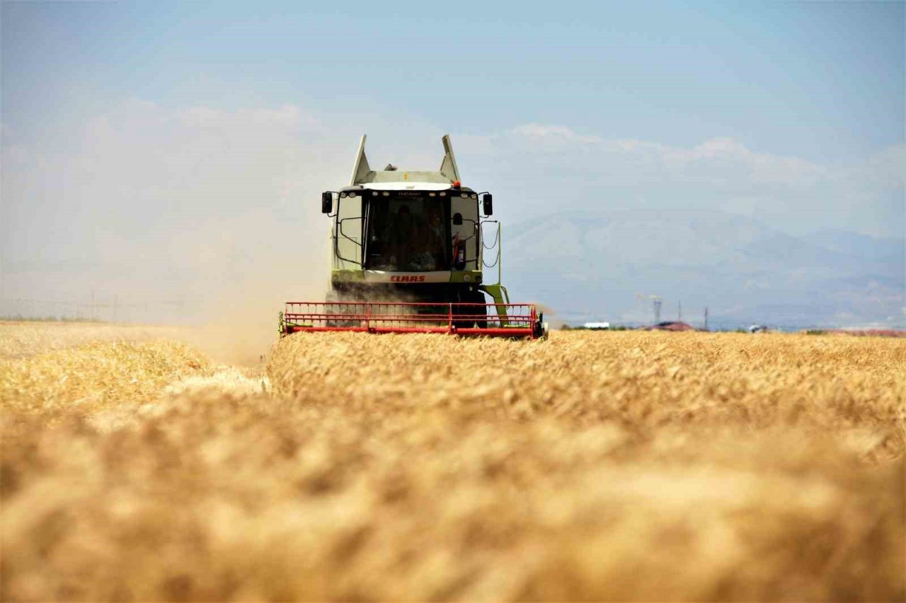 Konya Ovası’ndaki buğday hasadında 2 milyon 400 bin rekolte