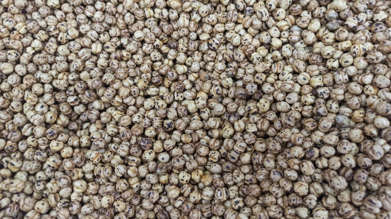 Denizli’den geçen yıl 38 bin ton kuruyemiş ihracatı yapıldı