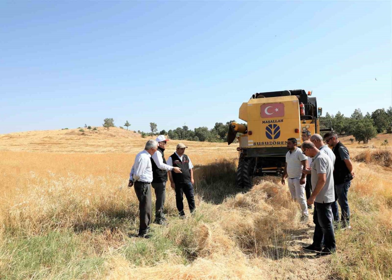 Uşak’ta keten hasadı bereketli başladı