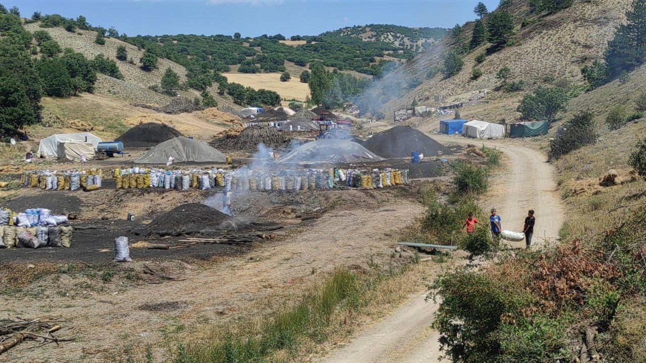 Mangal kömürü işçileri iki sıcak arasında alın teri döküyor