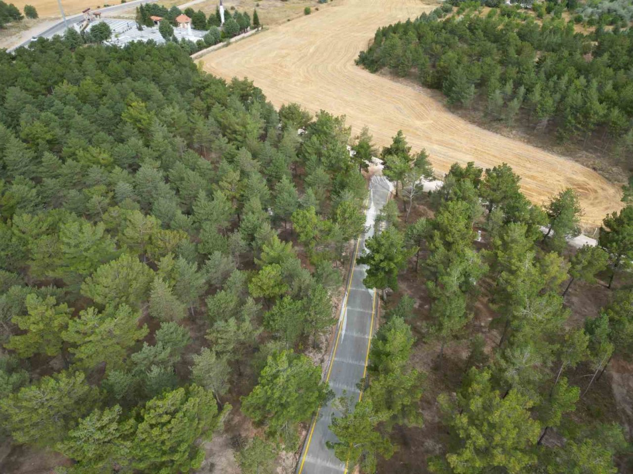 Eko-turizm alanına dönüştürülen Bahabey Çamlığı kullanıma açıldı