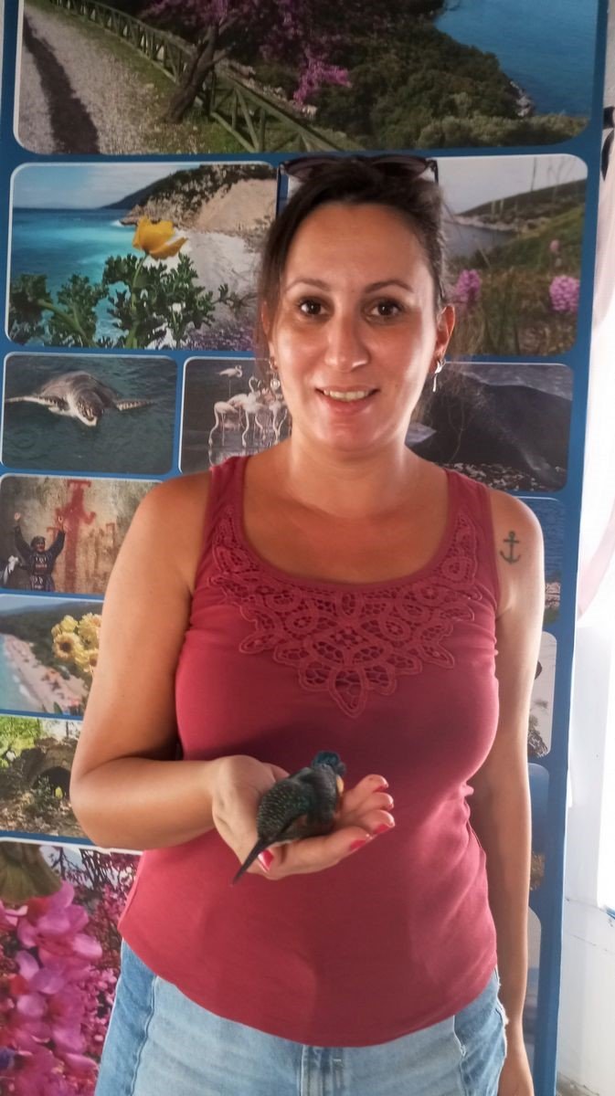 Yalıçapkınları Kuşadası’nı çok sevdi