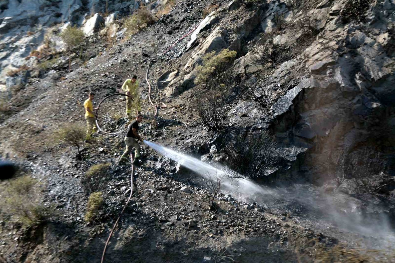 Söke’de çıkan yangın korkuttu