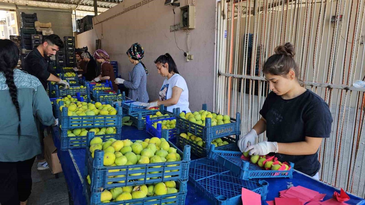 Başkan Erol, vatandaşları festivale davet etti