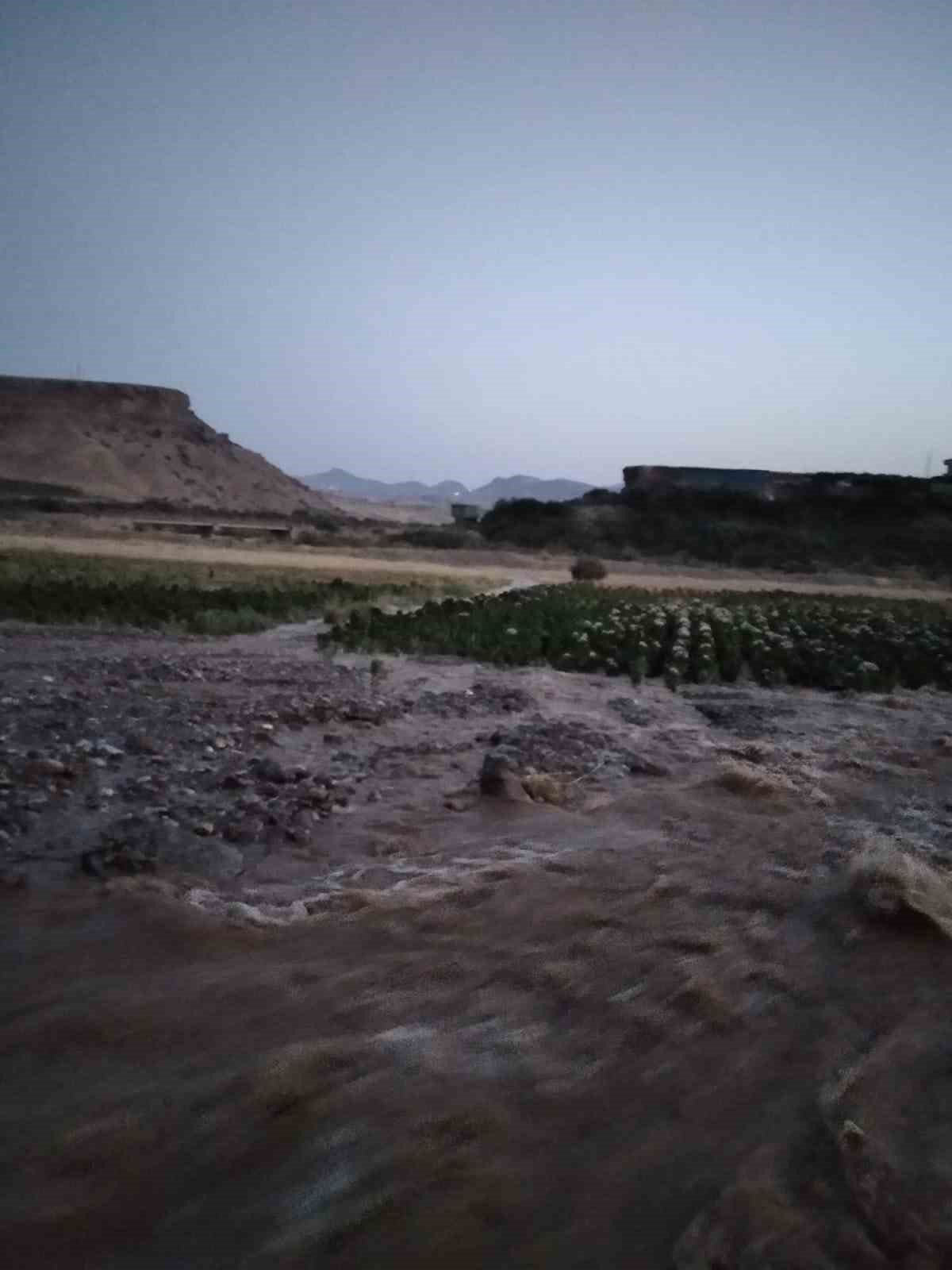 Kozluk’ta su kanalı patladı, tütün tarlası su altında kaldı