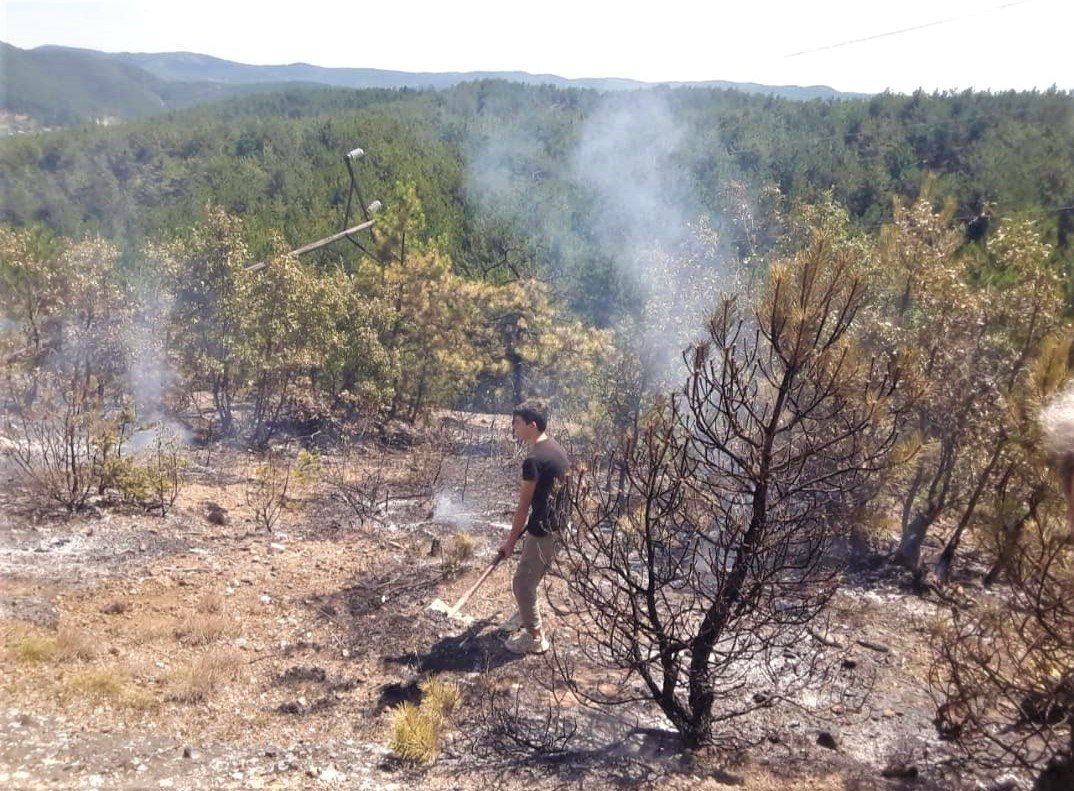 Köylülerin müdahalesi ormanı yanmaktan kurtardı