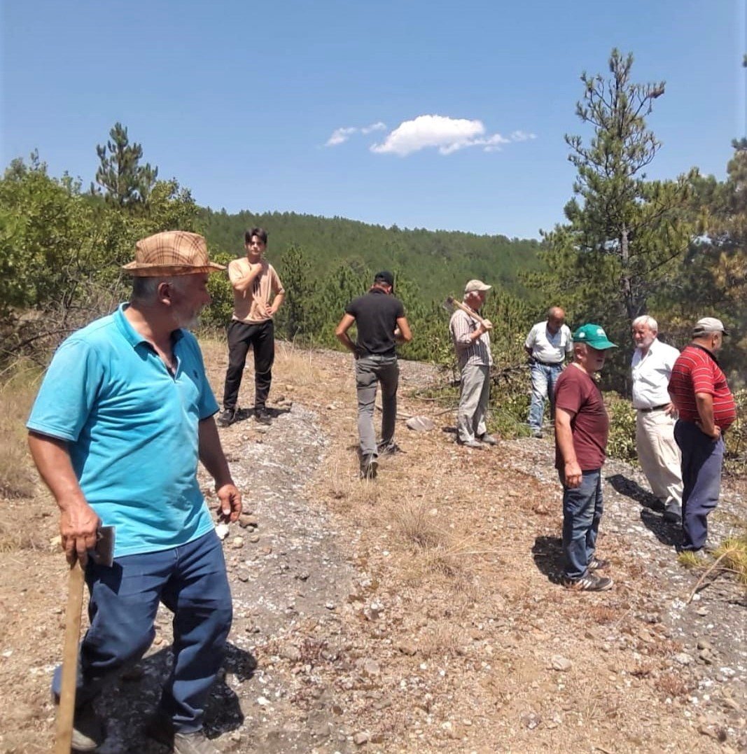Köylülerin müdahalesi ormanı yanmaktan kurtardı
